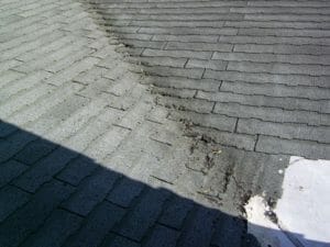 failing asphalt shingle roofing