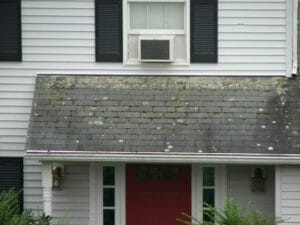 Why Asphalt Roofs Fail